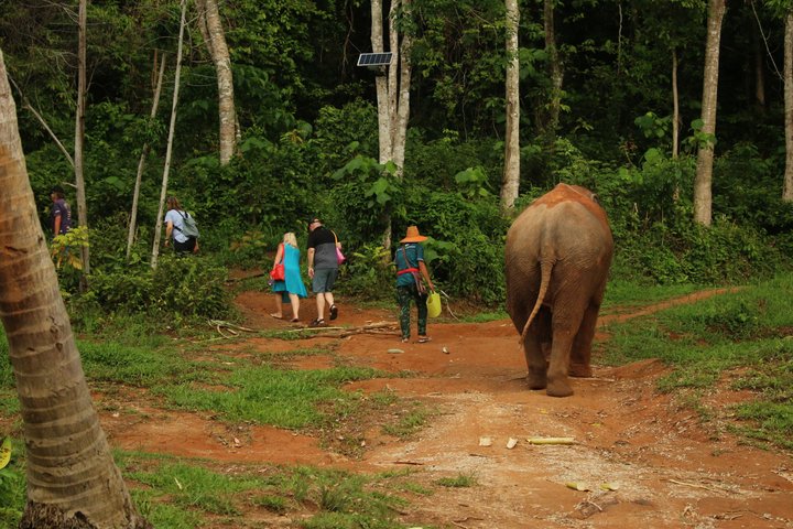 Phuket Elephant Nature Reserve Ethical Sanctuary
