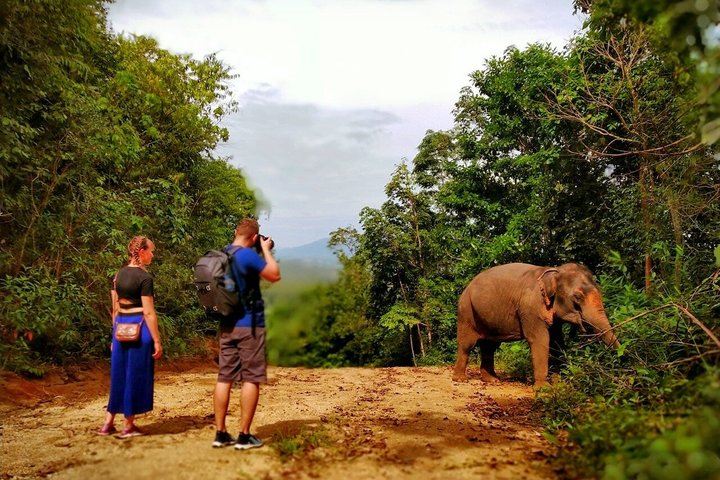 Phuket Elephant Nature Reserve Ethical Sanctuary