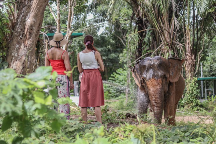 Phuket Elephant Nature Reserve Ethical Sanctuary