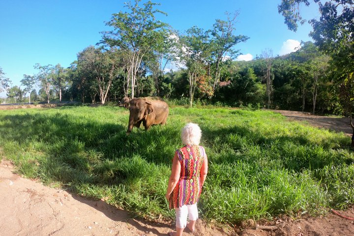 Phuket Elephant Nature Reserve Ethical Sanctuary