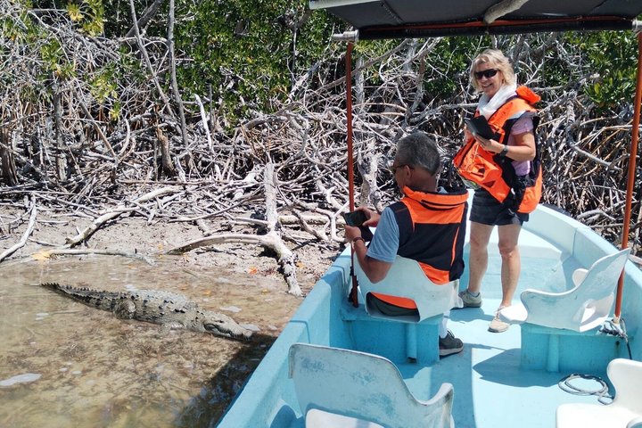 Rio Lagartos Private Flamingo Tour Hidden Beach Mud Bath
