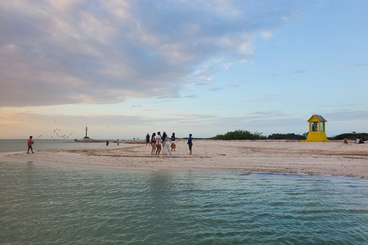 Rio Lagartos Private Flamingo Tour Hidden Beach Mud Bath