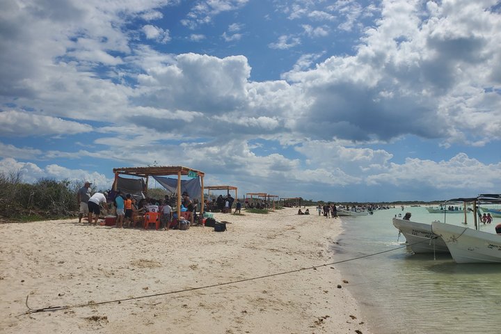 Rio Lagartos Private Flamingo Tour Hidden Beach Mud Bath