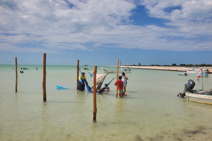 Rio Lagartos Private Flamingo Tour Hidden Beach Mud Bath