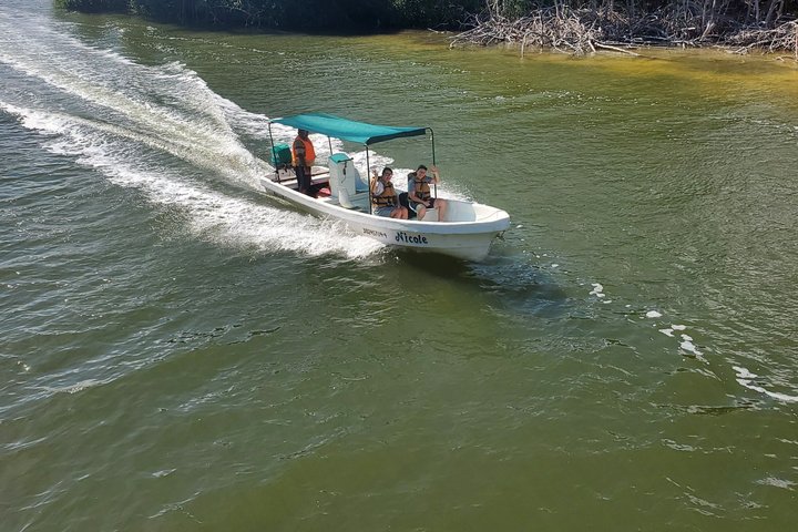 Rio Lagartos Private Flamingo Tour Hidden Beach Mud Bath