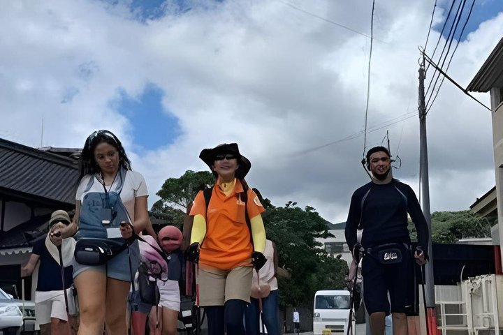 Beppu Nature and Hot Spring Nordic Walking Tour with Local Lunch