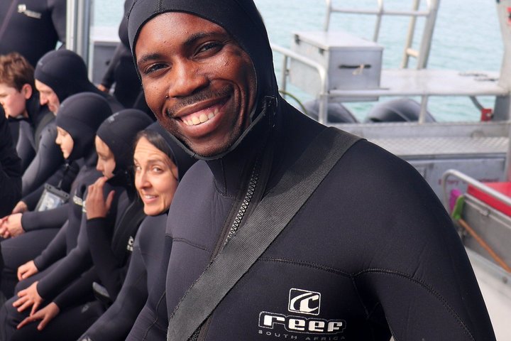 Shark Cage Diving and Viewing - Self drive