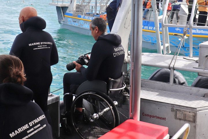 Shark Cage Diving and Viewing - Self drive