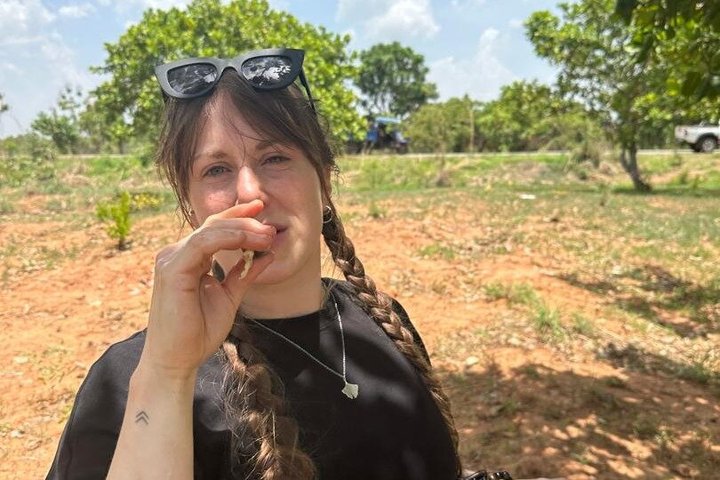 Mole National Park Elephant Safari with Round - Trip Flights