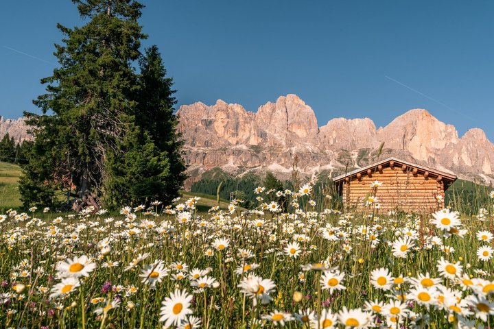 From Bolzano Day Tour Highlights of the Dolomites