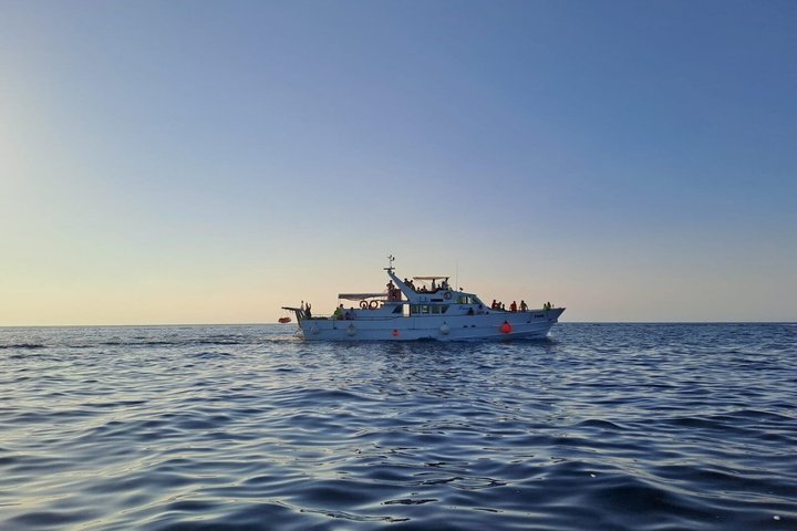 Sunset Cruise with Dolphin Spotting from Umag with Welcome Drink