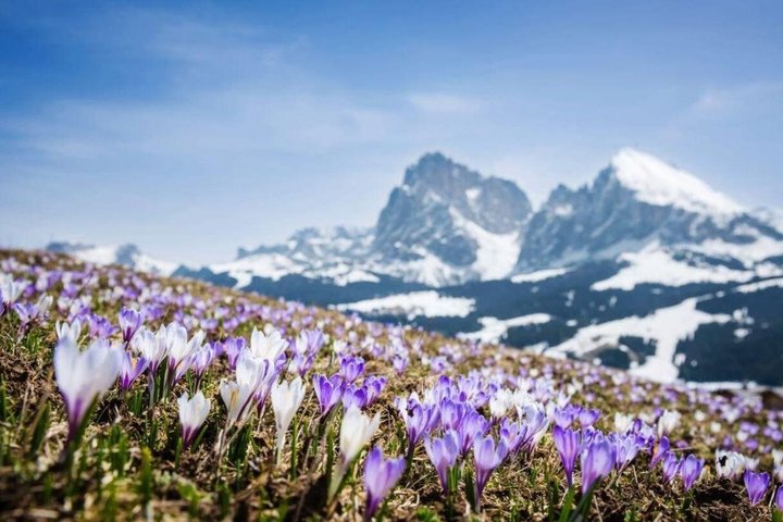Eastern Dolomites Exclusive Private Day Tour by Car from Bolzano