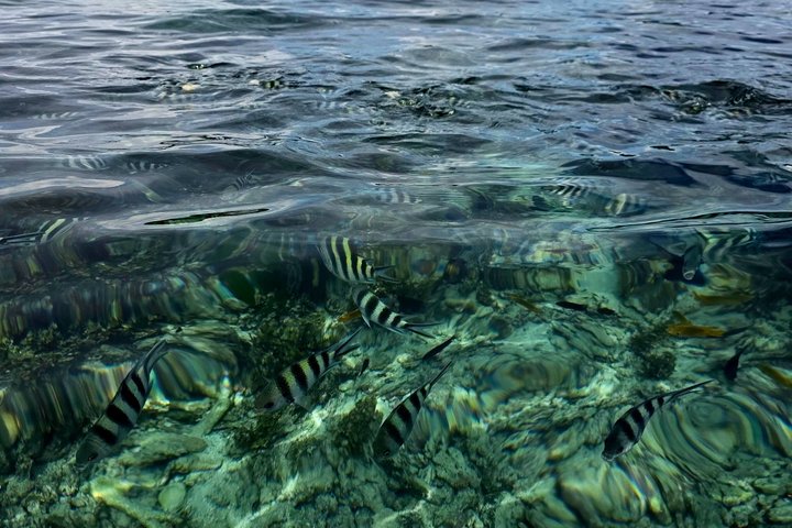 Private Tour of Praslin Island Seychelles