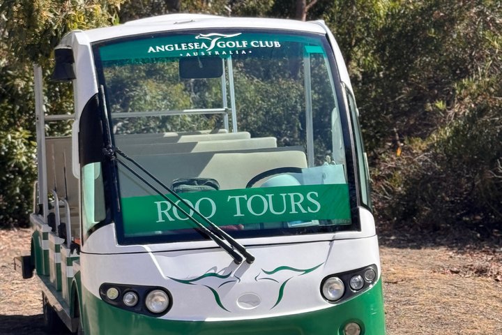 Melbourne Private Taxi Airport Transfers and Day Trips