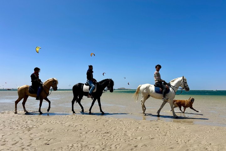 Horseback riding along the coast of Dakhla