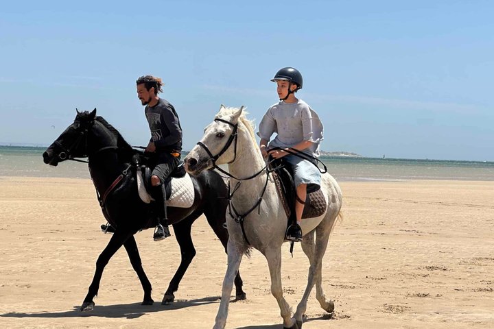 Horseback riding along the coast of Dakhla