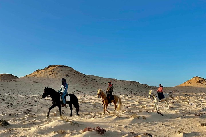 Horseback riding along the coast of Dakhla