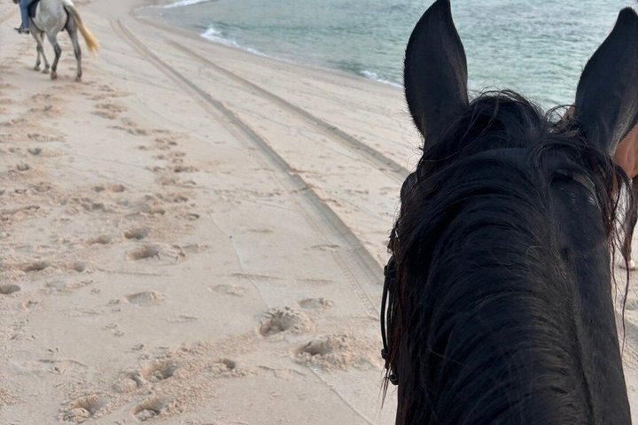 Horseback riding along the coast of Dakhla