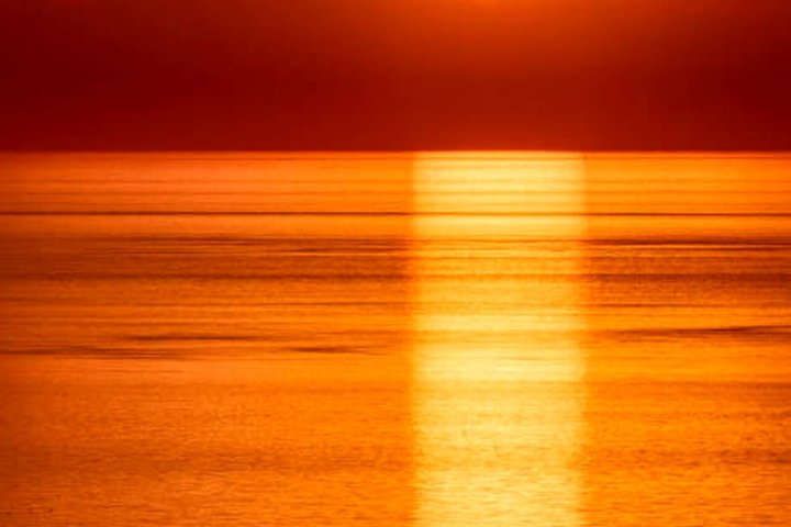 Medulin: 85% Dolphin Sunset Cruise, All-Inclusive & Face Painting