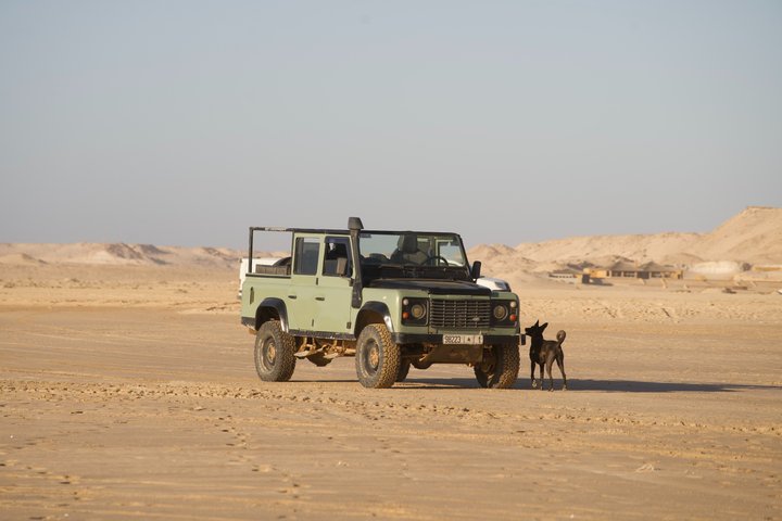 Safari Land Rover Vintage White Dunes Exploration and Sandboarding
