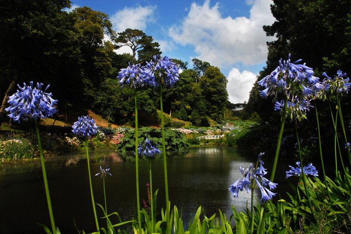 Cornish Gardens & Wonders – Private Tour from Falmouth