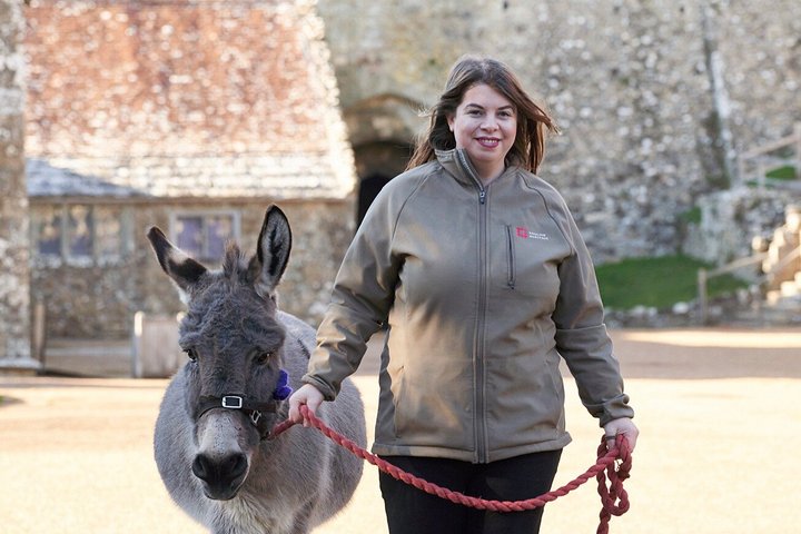 Carisbrooke Castle Admission Ticket
