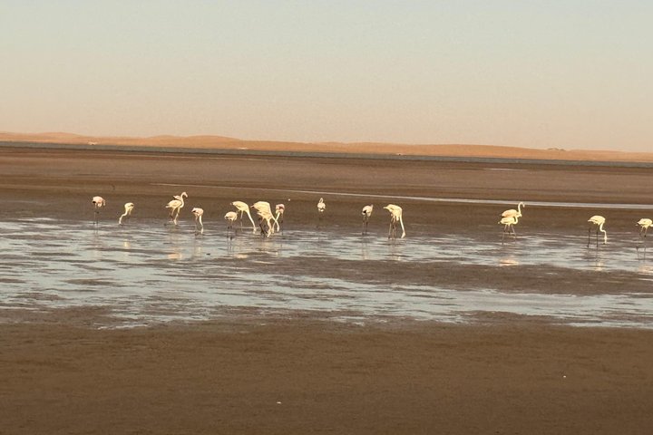 Sandwich Harbour 4X4 Dune Excursion