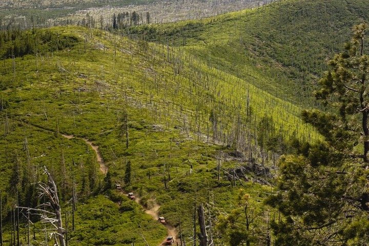 2 Hour High Cascades Scenic ATV Tour in Bend Oregon