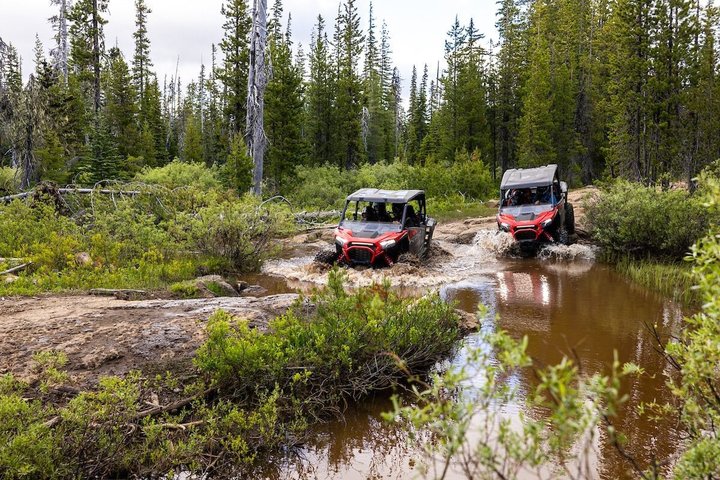 2 Hour High Cascades Scenic ATV Tour in Bend Oregon