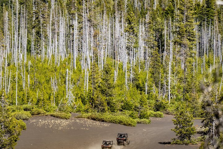 2 Hour High Cascades Scenic ATV Tour in Bend Oregon