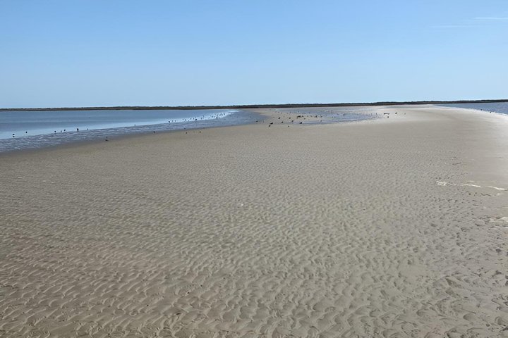 Zeke’s Island Sunrise Kayak Tour in North Carolina