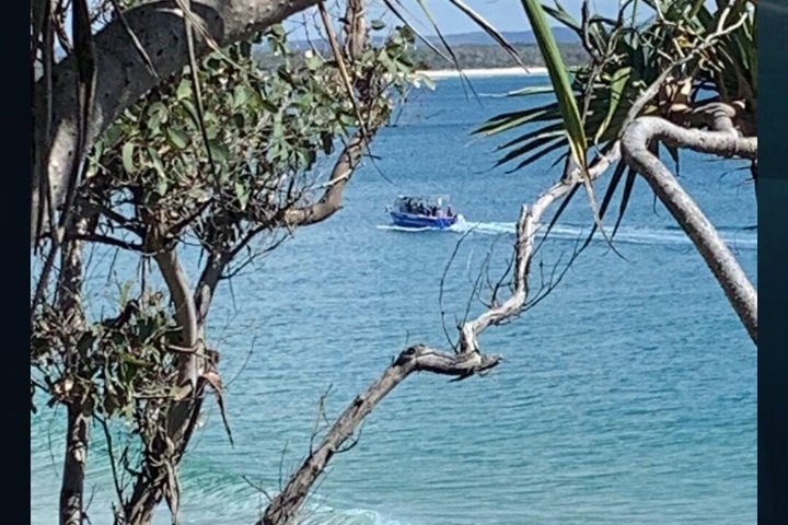 A UNIQUE Whalesongsnoosa Whale watching experience in noosa qld