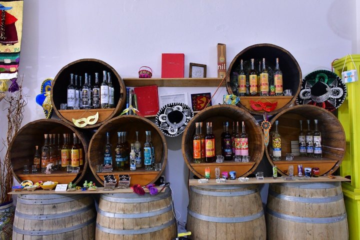 Mazatlán Shared City Tour by Red Truck History and Flavors