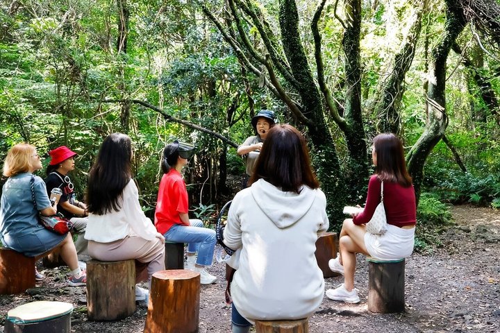 Jeju WestSouth One Day Authentic Tour with MT.Halla & UNESCO