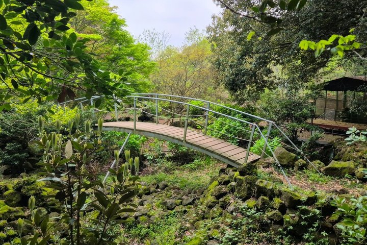 Jeju WestSouth One Day Authentic Tour with MT.Halla & UNESCO