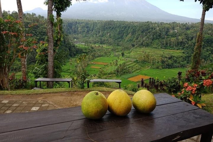 East Bali Tour: Mother Temple, Penglipuran and Tukad Cepung