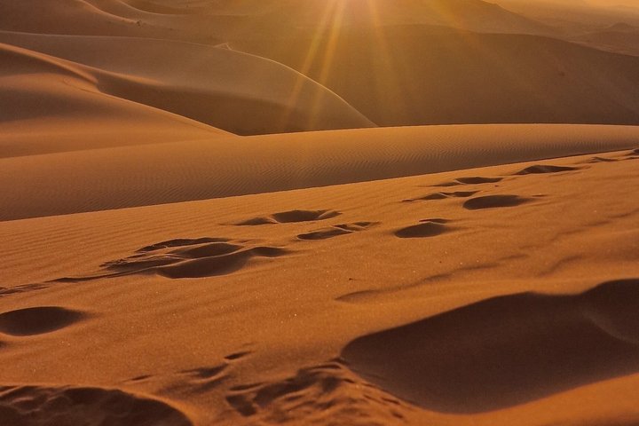 Tour from Ouarzazate to Vallee Du Draa and Dunes Of Tinfou
