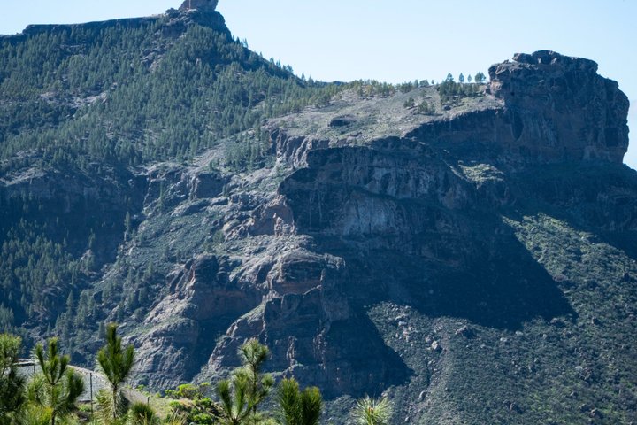 Gran Canaria from the Heights with visit to Fataga and Tejeda