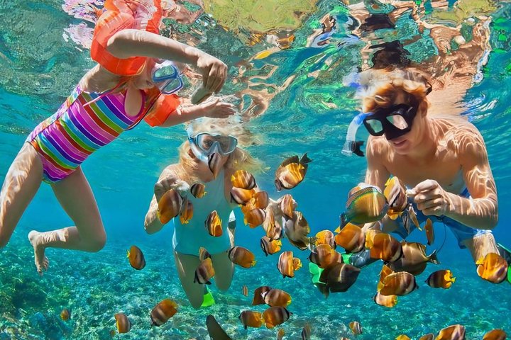 Snorkeling Sugar Beach St Lucia With Mud Bath & WaterFall Tour