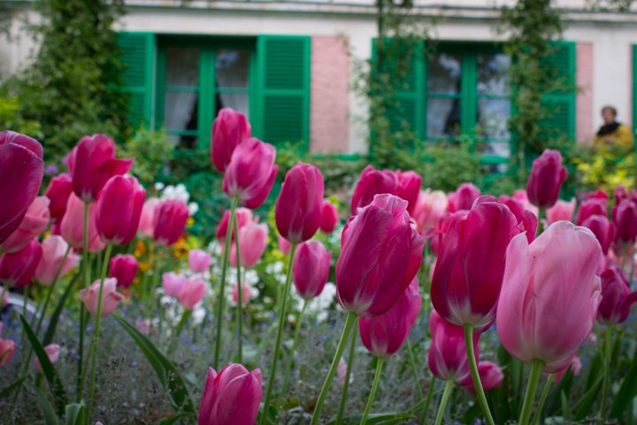 Rouen & Monet's Giverny Private Tour from Honfleur I Guide Option
