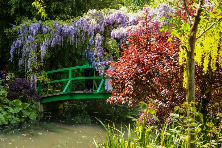 Rouen & Monet's Giverny Private Tour from Honfleur I Guide Option