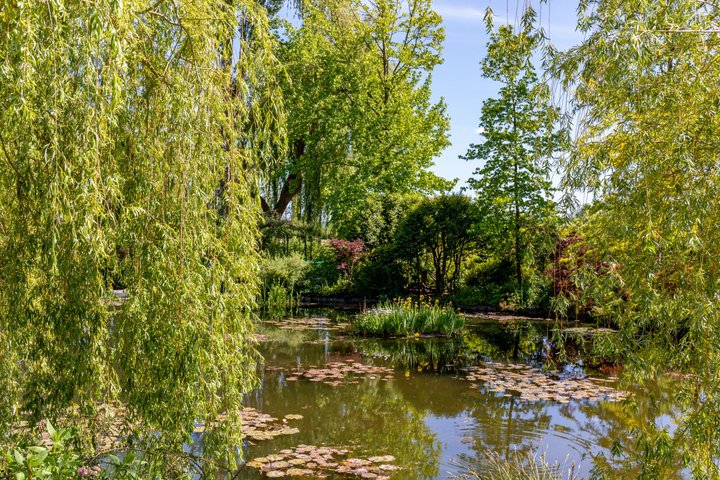 Rouen & Monet's Giverny Private Tour from Honfleur I Guide Option