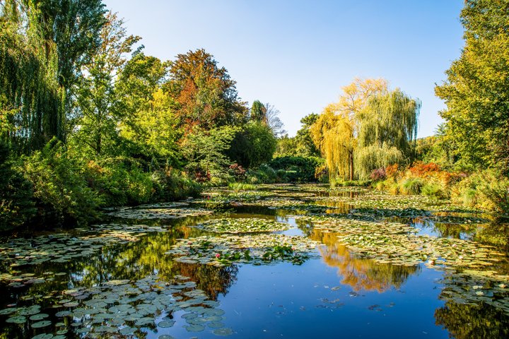 Rouen & Monet's Giverny Private Tour from Honfleur I Guide Option