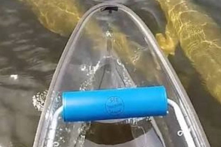 Clear Kayak and Glow Kayak Adventures