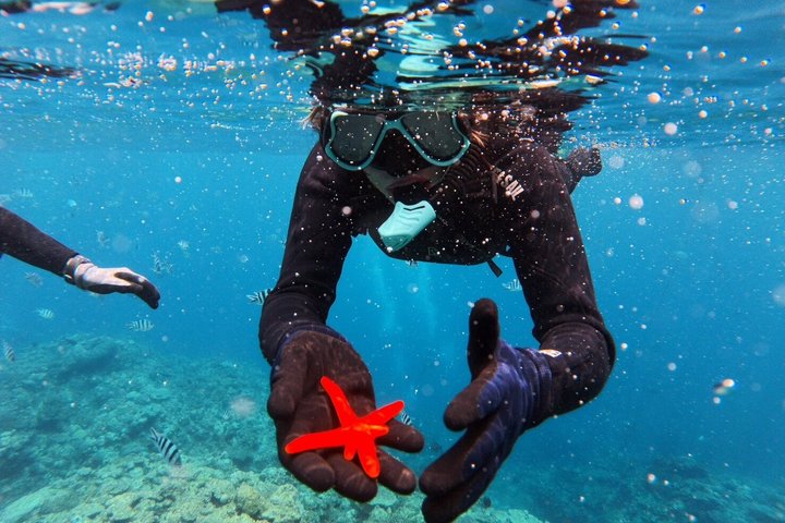 Okinawa Private Snorkeling Tour Blue Cave Hotel pickup available