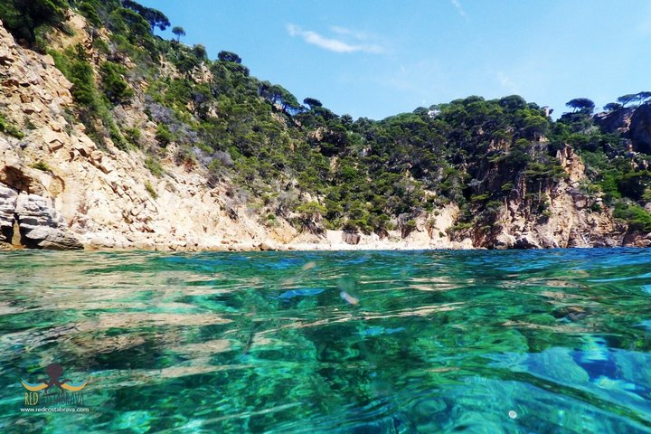 Boat trip from Platja d'Aro to Calella de Palafrugell