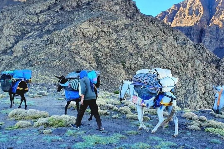 Atlas Mountains 2-Day Trek: Azzaden Valley Escape