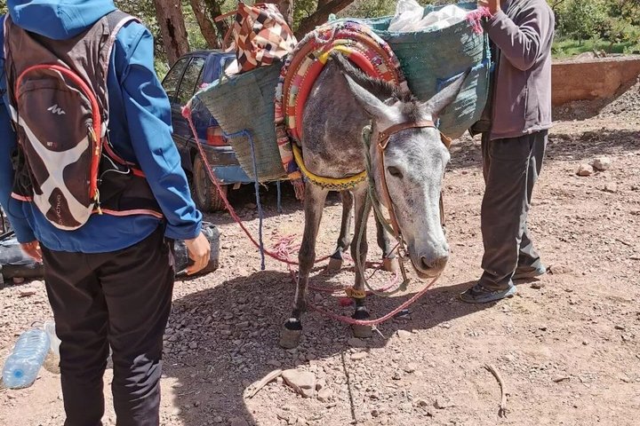 Atlas Mountains 2-Day Trek: Azzaden Valley Escape