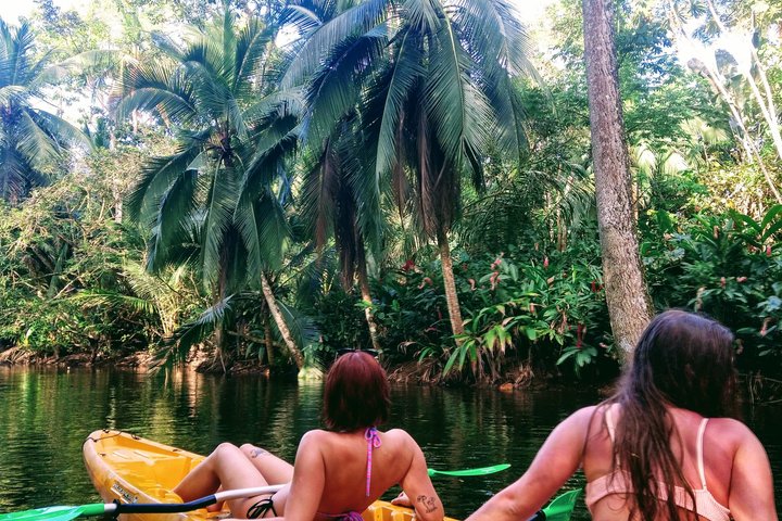 Punta Uva Wildlife Kayaking, Hike & Sloth Watching Tour