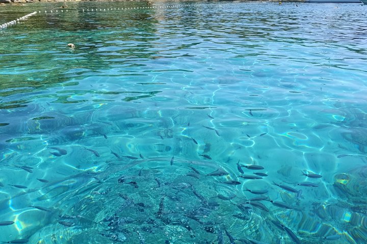 Private Boat Tour To Pakleni Islands and Red Rocks